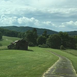 Meet your Posher, Bernard